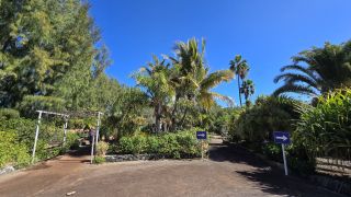 GC-Parque Botanico de Maspalomas 2025-003.jpg